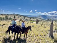 Colorado Horsing Around Lost Valley Ranch Pike National Forest